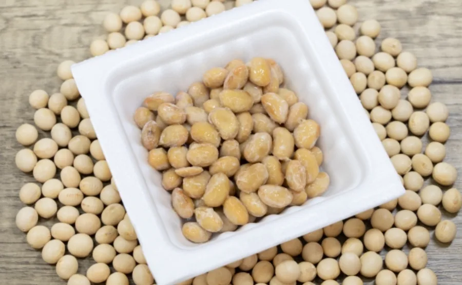 発酵した納豆が容器に入っており、周囲に乾燥大豆が並んでいる