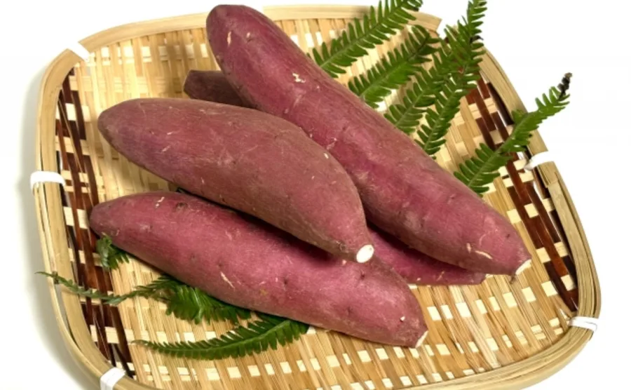 かごの上に並べられた生のさつまいも