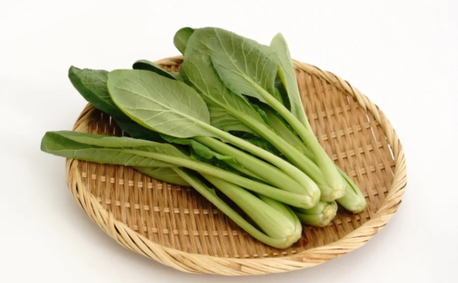 かごに盛られた新鮮な小松菜