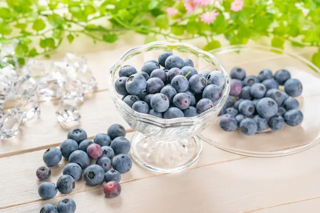 皿に盛られたみずみずしいブルーベリー