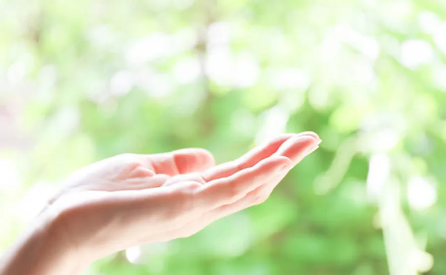 自然を背景に手をかざしている癒しをイメージした画像
