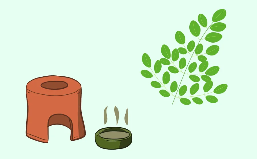 座浴器や黄土壺、モリンガの葉など、モリンガ蒸しで使う道具のイラスト図